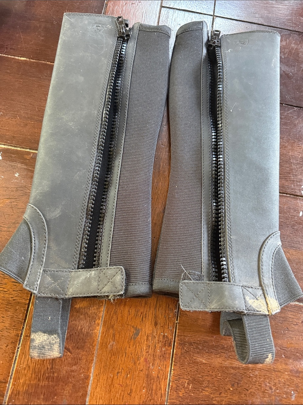 Ariat Navy and Bronze Youth Scout Half Chaps - Picture 3 of 6